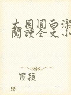 大团圆白洁免费阅读全文小说