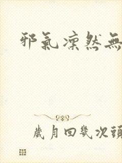 邪气凛然无弹窗