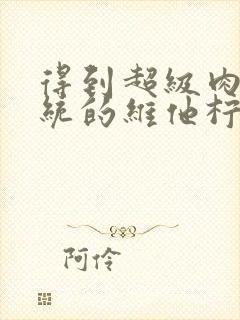 得到超级肉禽系统的维他柠檬茶