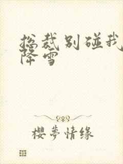 总裁别碰我 韩降雪