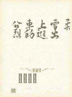 公车上雪柔被猛烈的进出