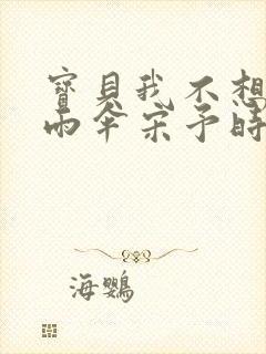 宝贝我不想带小雨伞宋予时