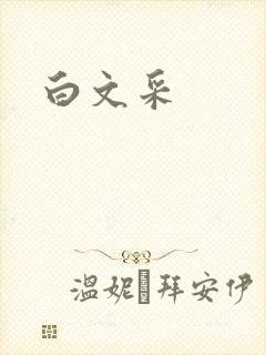 白文采