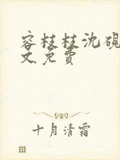 容枝枝沈砚书全文免费