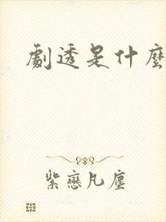 剧透是什么意思