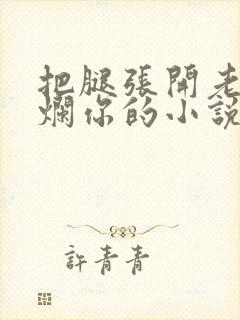 把腿张开老子臊烂你的小说