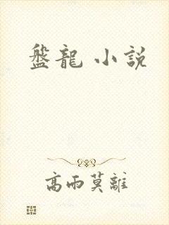 盘龙 小说