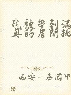 我被带到满是玩具的房间挑调游戏