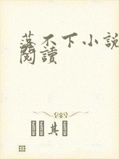 落不下小说免费阅读