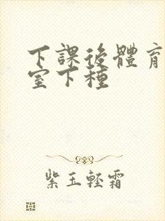 下课后体育器材室下种