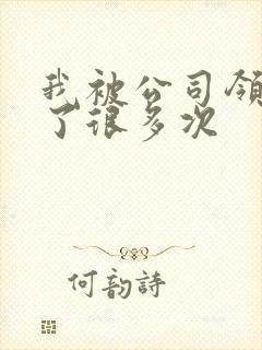 我被公司领导C了很多次