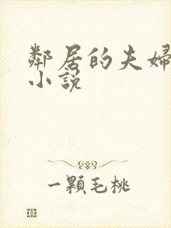 邻居的夫妇交换小说