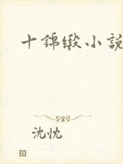 十锦缎小说