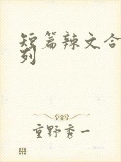 短篇辣文合集系列