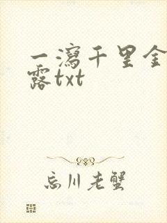 一泻千里金银花露txt