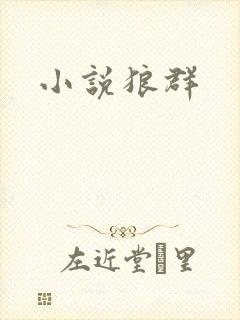 小说狼群