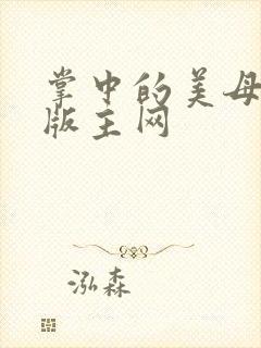 掌中的美母第一版主网