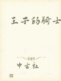 王子的骑士