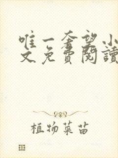 唯一奢望小说全文免费阅读