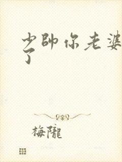 少帅你老婆又跑了