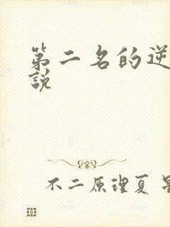 第二名的逆袭小说