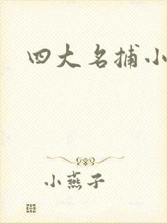 四大名捕小说