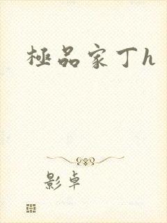 极品家丁h