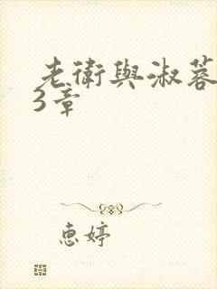 老卫与淑蓉第13章