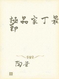 极品家丁最新章节