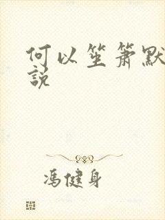 何以笙箫默 小说