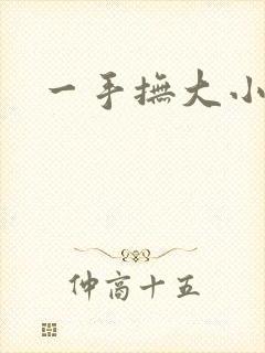 一手抚大小说
