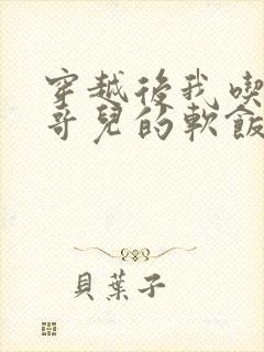 穿越后我吃到了哥儿的软饭炉山灰