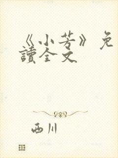 《小芳》免费阅读全文