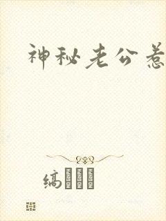 神秘老公惹不起