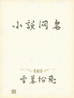小说网名