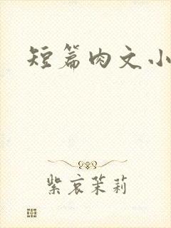 短篇肉文小说