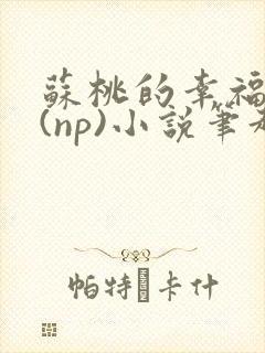 苏桃的幸福生活(np)小说笔趣阁沐沐