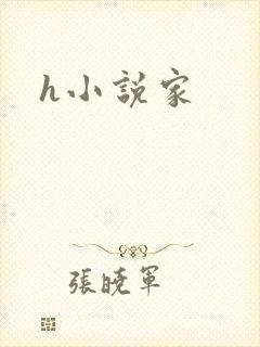 h小说家