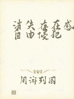 消失存在感消失自由侵犯