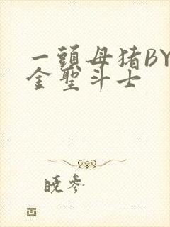 一头母猪BY黄金圣斗士