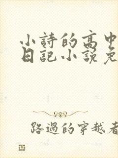 小诗的高中成长日记小说免费阅读