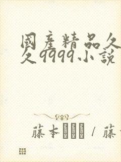 国产精品久久久久9999小说