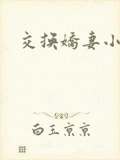 交换娇妻小说