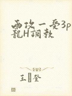 两攻一受3p双龙H调教