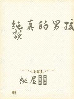 纯真的男孩子小说