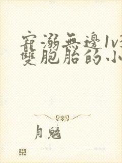 宠溺无边1v3双胞胎的小说