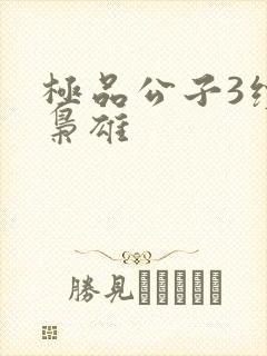 极品公子3续世枭雄