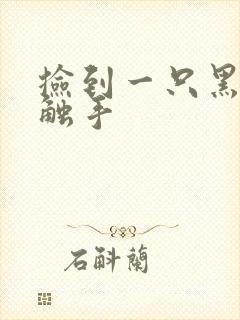 捡到一只黑心小触手