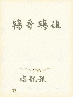 鸨哥鸨姐