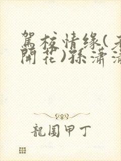 驾校情缘(老树开花)孙潇潇笔趣阁